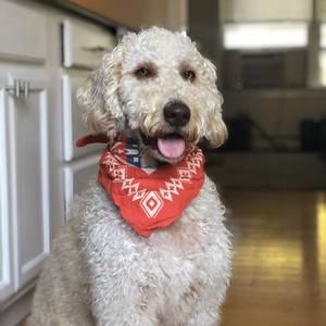 Meet your Posher, Tyler